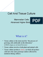 Cell and Tissue Culture: Mammalian Cells Advanced Higher Biology