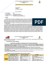 Sílabo de Práctica e Investigación II - PPG