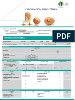 843 - Auditoria-Subcutanea 16-02-21 Derby