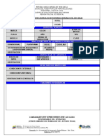 Formato de Vehiculos