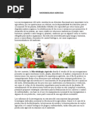 Microbiologia Agricola