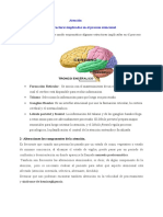 Estructuras Cerebrales Percepción, Atención y Memoria