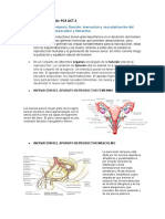 ANATOMÍA HUMANA pc3 Act 2