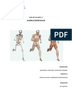 1.2.3 Taller n3 Sistema Osteoarticular