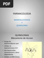 Aminog y Quinolonas