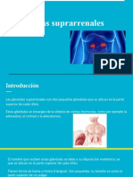 Trabajo Glándulas Suprarrenales