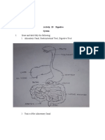 Activity-10-Digestive-System - PERALTA