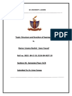 Topic: Structure and Function of Haemoglobin: GC University, Lahore