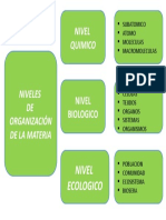 Niveles de Organizacion