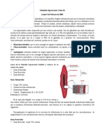 Clase NÂº 10 - Glandula Suprarrenal