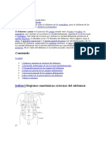 Abdomen