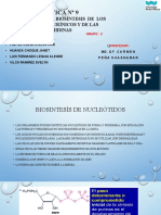 Practica N 09 Bioquimica 2