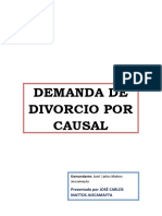 Divorcio Por Causal Practica