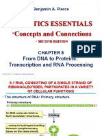 Di truyền cơ sở-Ch8 (10) -From DNA to Proteins p1-IUH