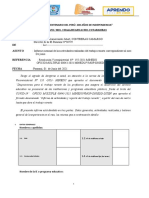 Informe 5° y 6° - Primaria