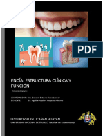 Periodoncia Semana 1 Mapa Encia