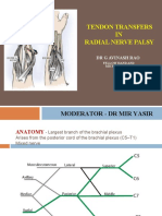 Tendon Transfers For Radial Nerve Palsy