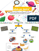 8° La Célula Por Dentro. EVALUACIÓN