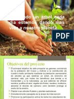 Proyecto Responsabilidad Plantacion de Arboles en Cusco