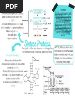 Síntese Proteica