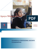 Desarrollo Profesional Docente