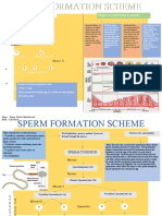 Mind Map Sceme Formulation Spem and Egg