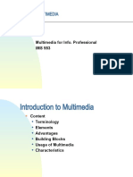 Multimedia: Multimedia For Info. Professional IMS 553