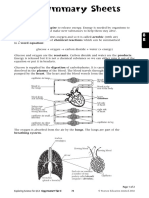 Summary Sheets: Respiration