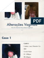 Aula 11 Alterac3a7c3b5es Vaginais Obstetrc3adcia de Pequenos Animais