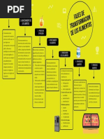 Fases de Transformacion de Los Alimentos