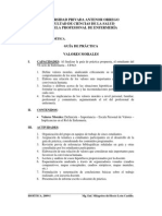 Guía Valores Morales Situaciones Hipotéticas. Bioética.2009-I