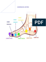 Chakras de Los Pies