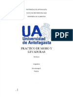 PDF Informe Moho y Levadura