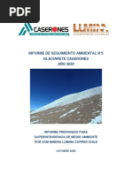 INFORME SEGUIMIENTO N5 GLACIARETE CASERONES-Rev - Final