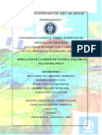 Trabajo de Investigación-Modelamiento Ambiental-Dispersión CO2 - POLLERÍAS