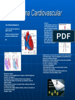 Sistema Cardiovascular