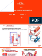 B-4to-Sistema Cardiovascular III