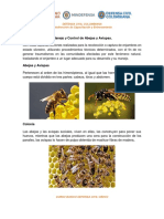 M13Manejo y Control de Abejas y Avispas