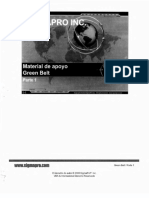 Green Belt Manual 1