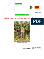 Brochure Maïs Ensilage Maroc