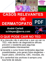 Revisão Ted 2011 - Casos Relevantes para Estudo