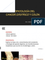 Fisiopatologia Del Cancer Gastrico y Colon