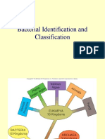 Bacterial Identification and Classification