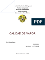 Calidad de Vapor