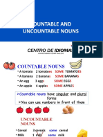 Countable and Uncountable Nouns