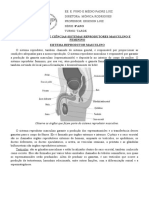 Sistemas Reprodutores Masculino e Feminino