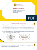 Tema 11 - Interración Magnética 2