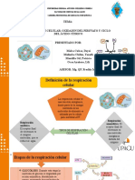 Acido Citrico Grupo N05