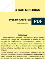 Direito Das Minorias: Prof. Dr. André Fonsêca