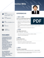 CV - SANCHEZ DOCUMENTADO Egresado